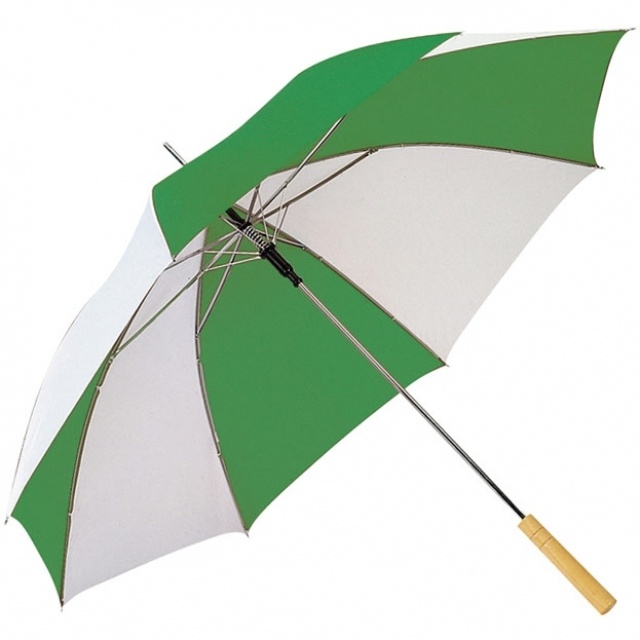 : Automatic umbrella 'Aix-en-Provence'  color green