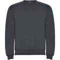 Clasica unisex tröja med rund hals, Ebenholts