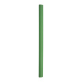 Carpenter – penna, grön