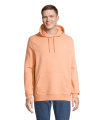 CONSTELLATION HOOD SWEAT, Persika