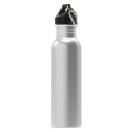 Vattenflaska Lennox 750 ml, silver