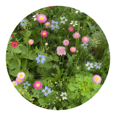 Fröpåsar torkade blommor 4 gram, brun, produktbild (3)