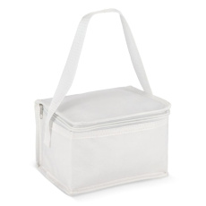 R-PET 6 Kylväska för burkar, non-woven 20x13x12,5 cm 75g/m²