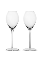 Saga champagne – dricksglas, 2-pack