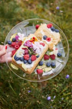 Picknick Juni-tallrik, 2-delars – Sagaform (4)