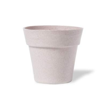 Blomkruka Tumil – Makito (2)