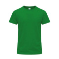 Färgad t-shirt för vuxna Perkins, Grön