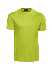 Auckland – T-shirt, Limegrön